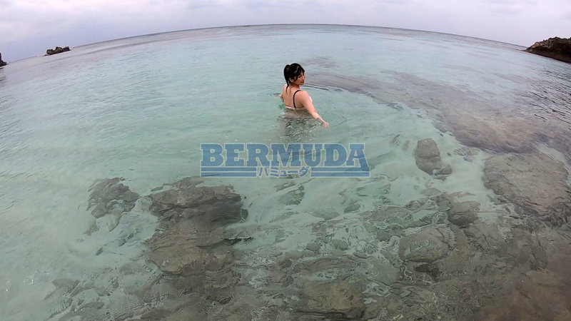 サンプル画像 16