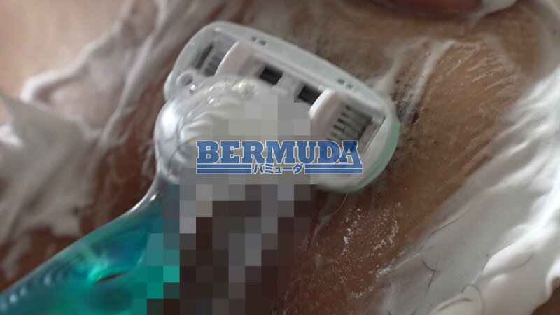 サンプル画像 12