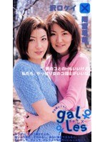 パッケージ画像