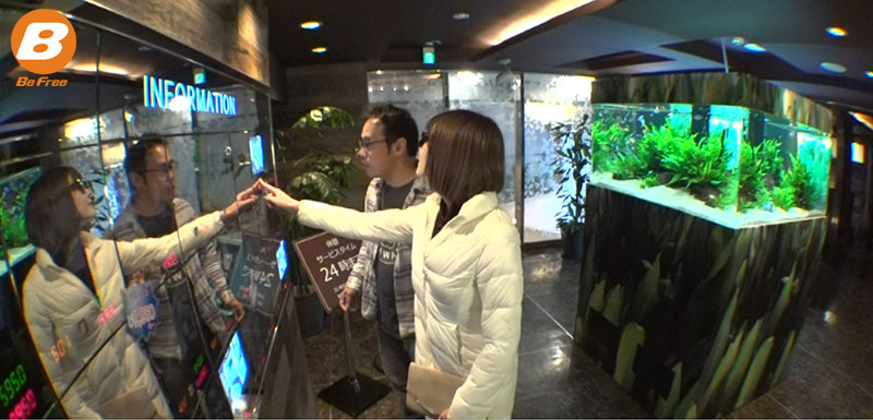 サンプル画像 2