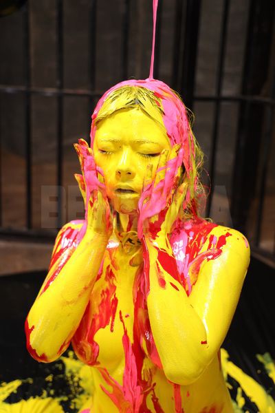 サンプル画像 14