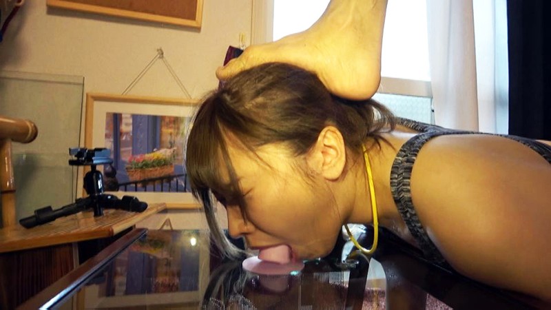 サンプル画像 16