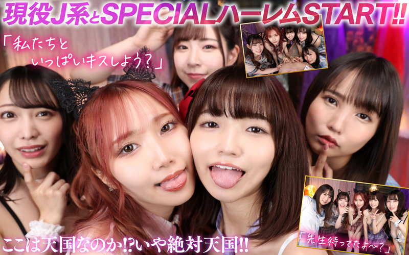 サンプル画像 13