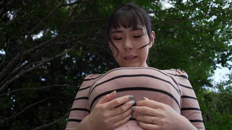 サンプル画像 5