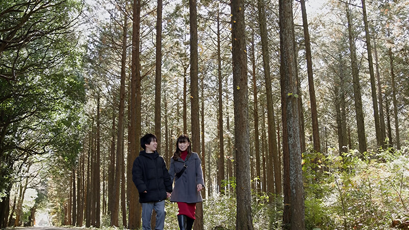 サンプル画像 16