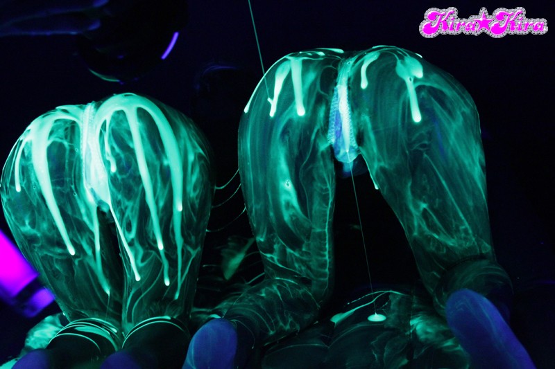 サンプル画像 4