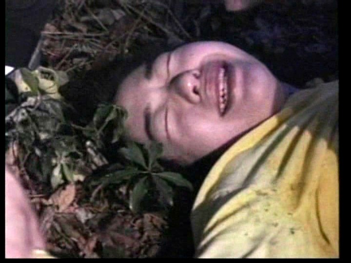 サンプル画像 6