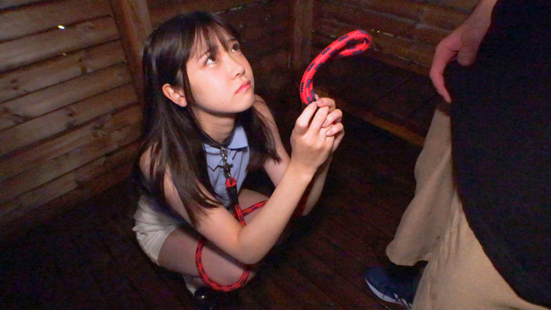 サンプル画像 13