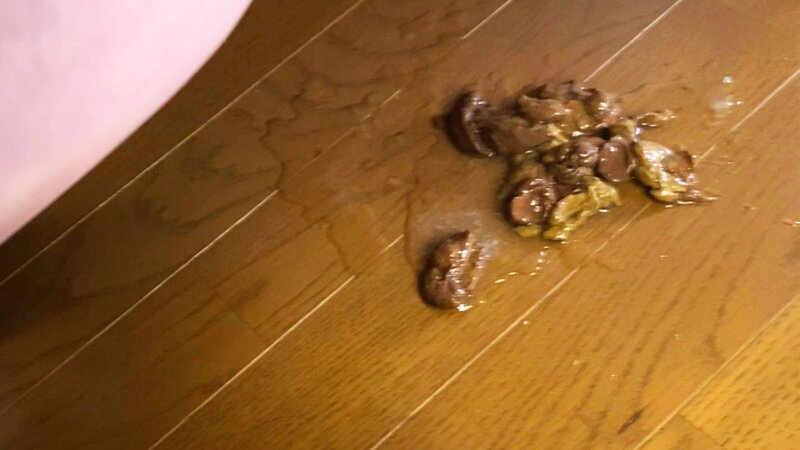 サンプル画像 10