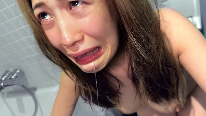 サンプル画像 11