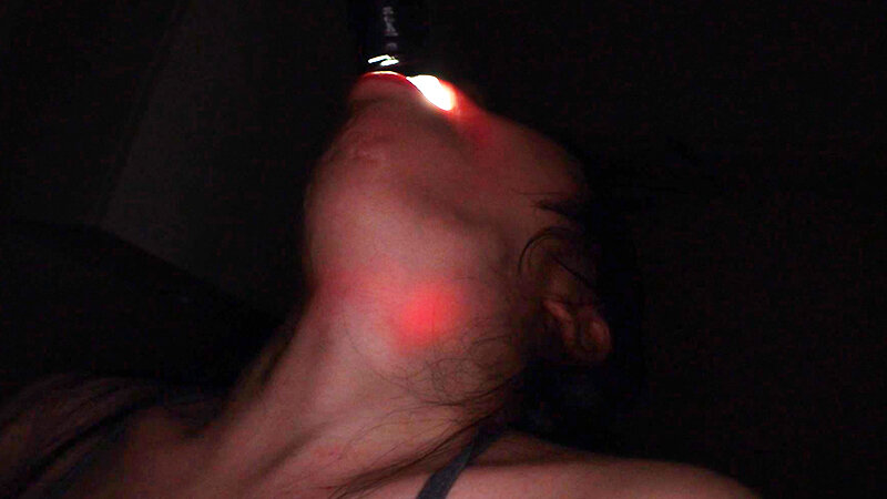 サンプル画像 11