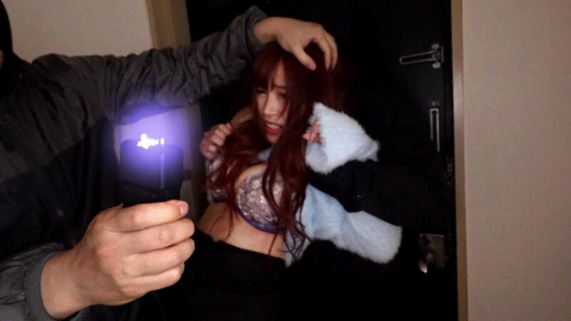 サンプル画像 13