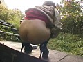 サンプル画像 7