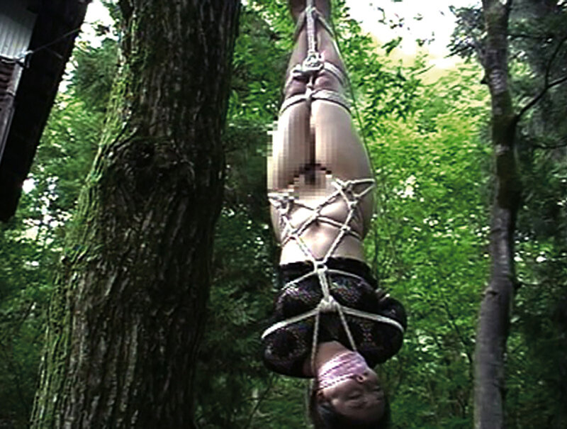 サンプル画像 18