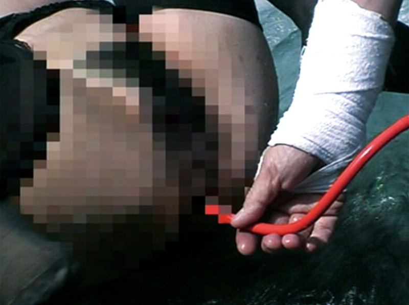 サンプル画像 10