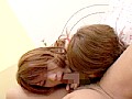 サンプル画像 7