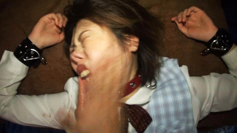 サンプル画像 16