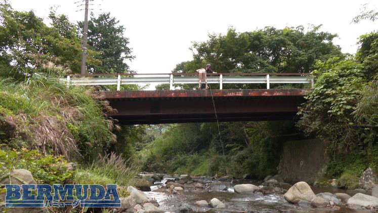 サンプル画像 18