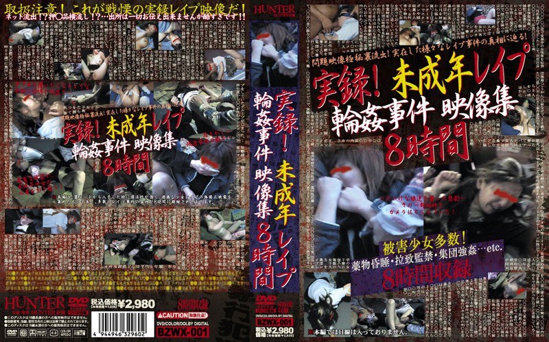 サンプルプレビュー