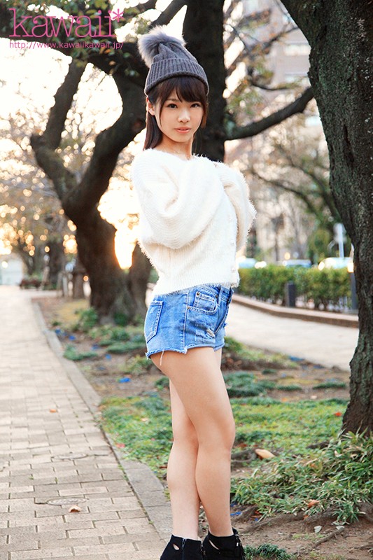 サンプル画像 12