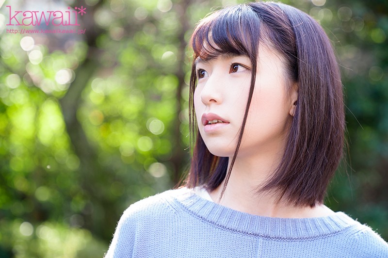 サンプル画像 12