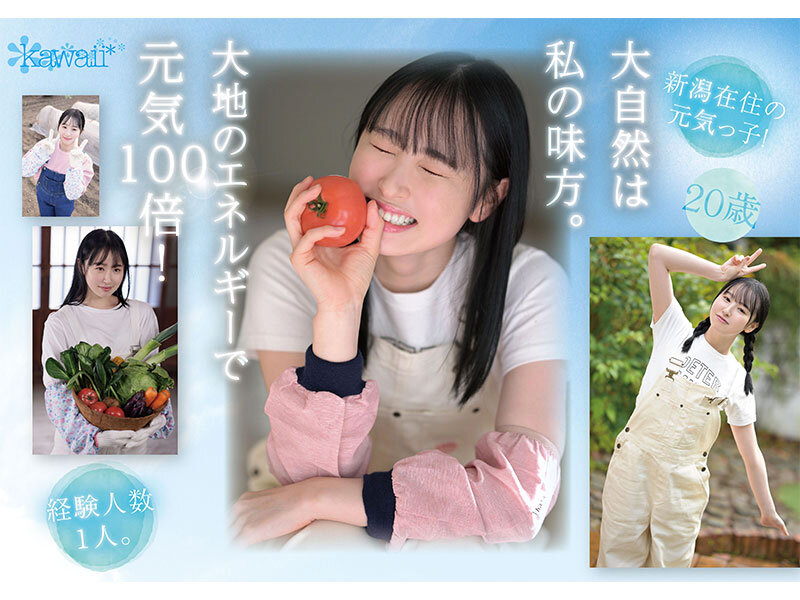 サンプル画像 11