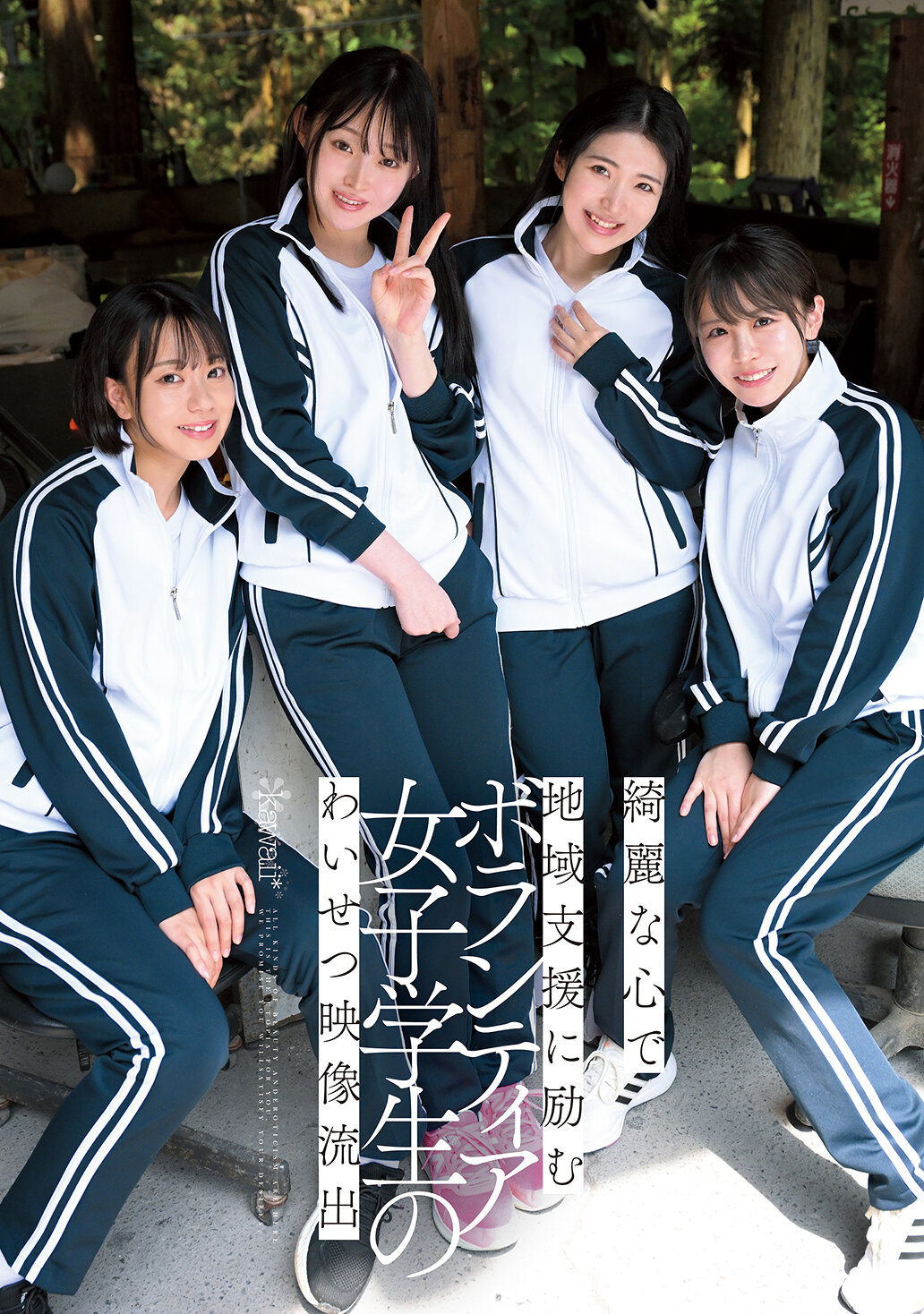 パッケージ画像