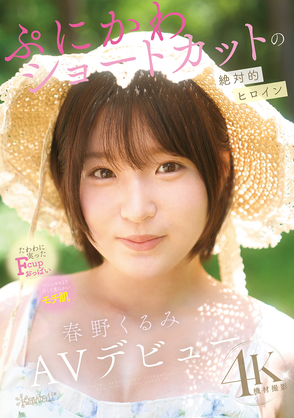 パッケージ画像