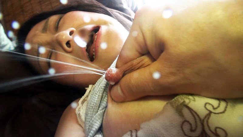 サンプル画像 7