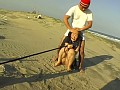 サンプル画像 30
