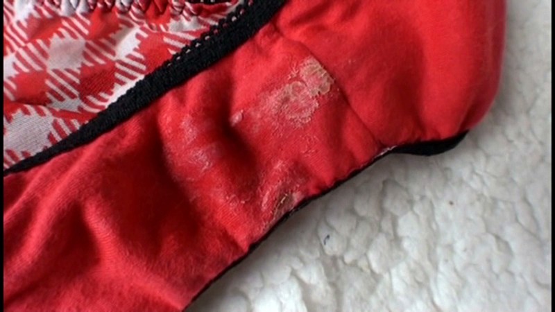 サンプル画像 21