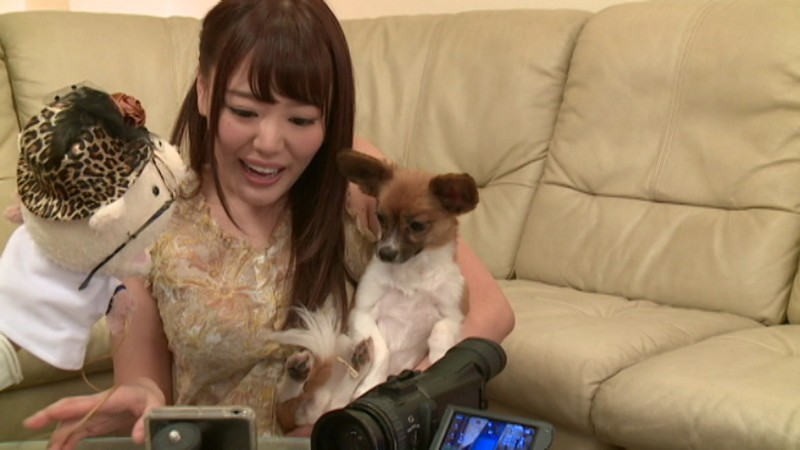 サンプル画像 12