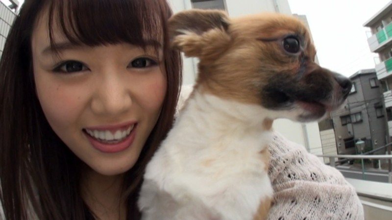 サンプル画像 3