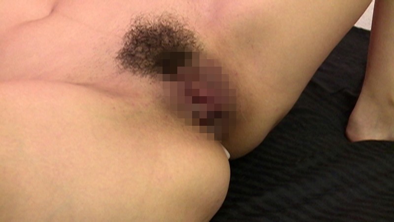 サンプル画像 8