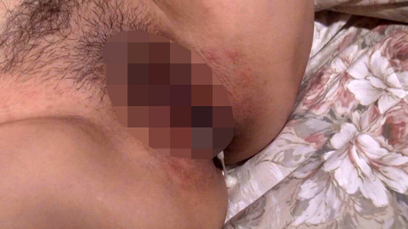 サンプル画像 17