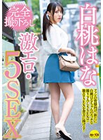 パッケージ画像