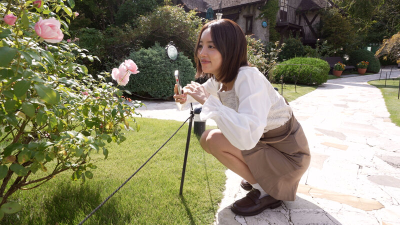 サンプル画像 13