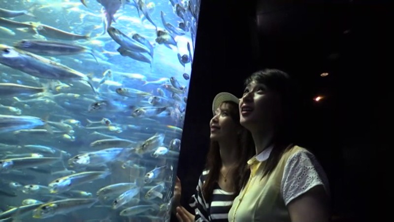 サンプル画像 20