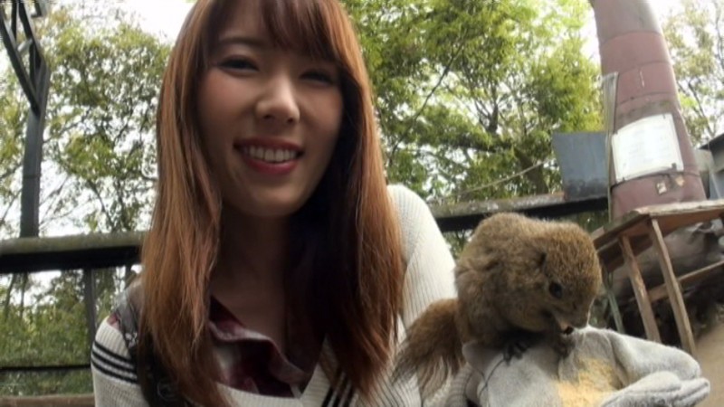 サンプル画像 6