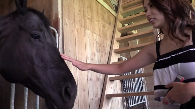 サンプル画像 21