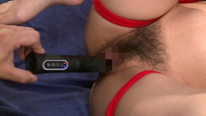 サンプル画像 13