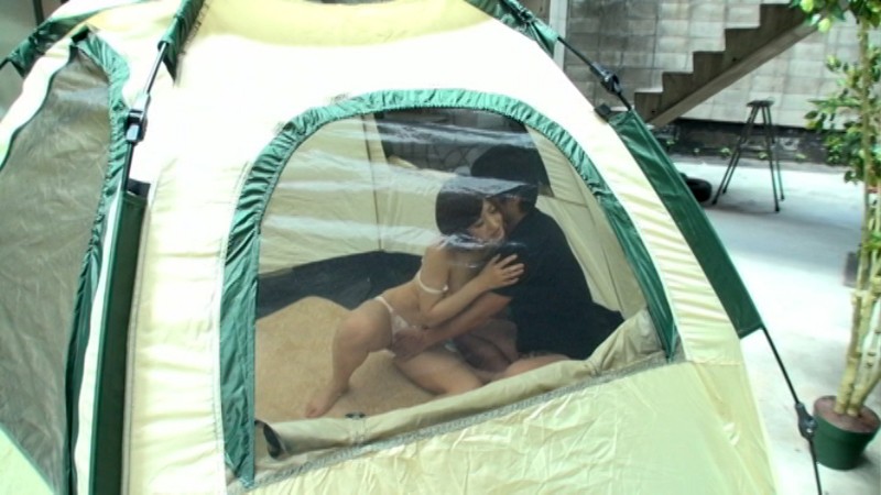 サンプル画像 8