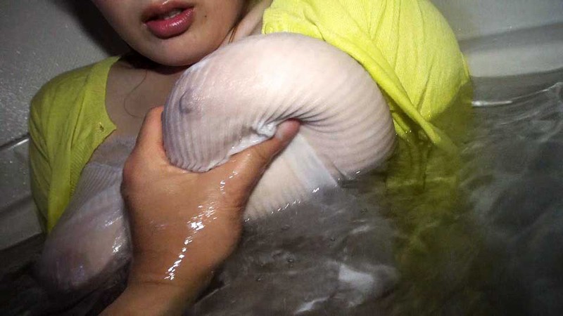 サンプル画像 11