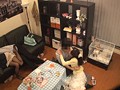 サンプル画像 8