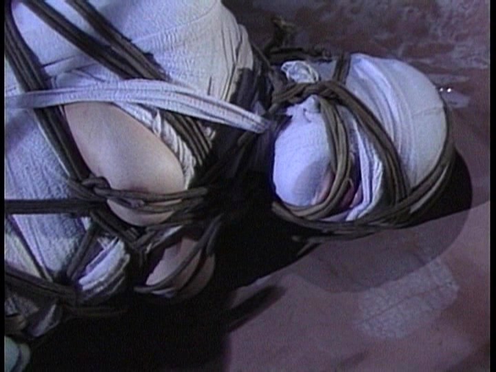 サンプル画像 11