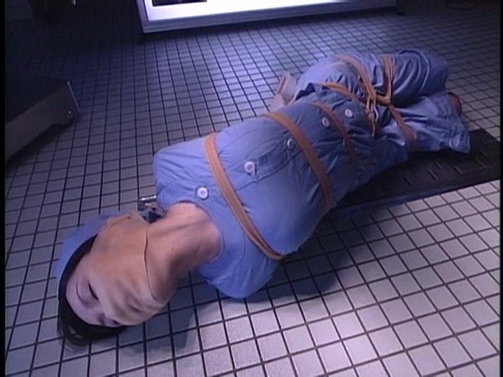 サンプル画像 17