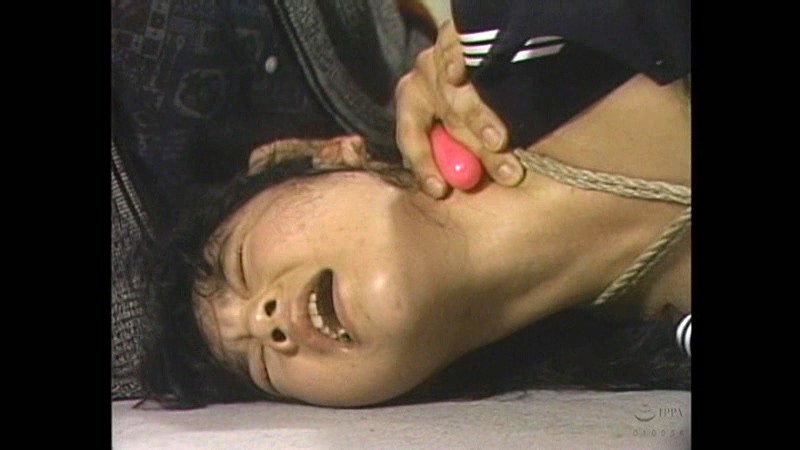 サンプル画像 19