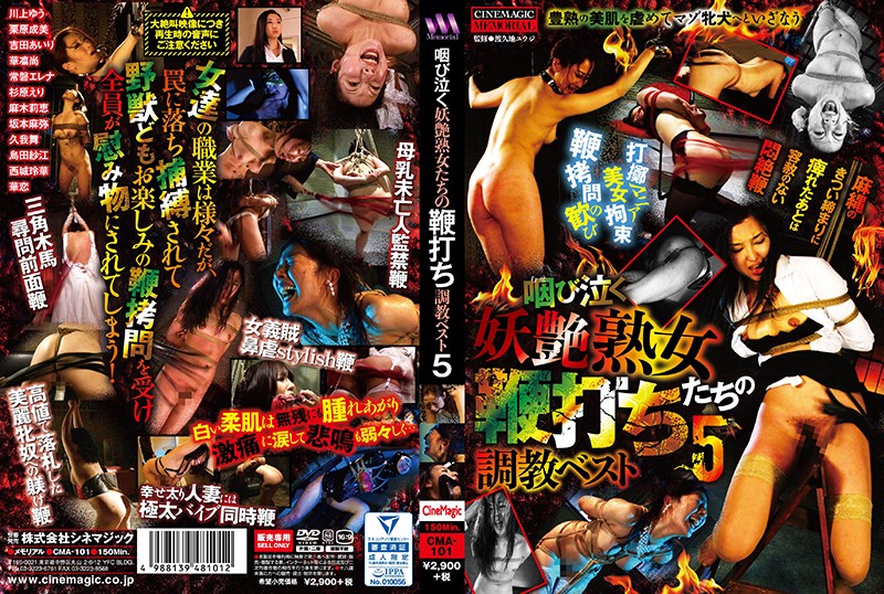 サンプルプレビュー