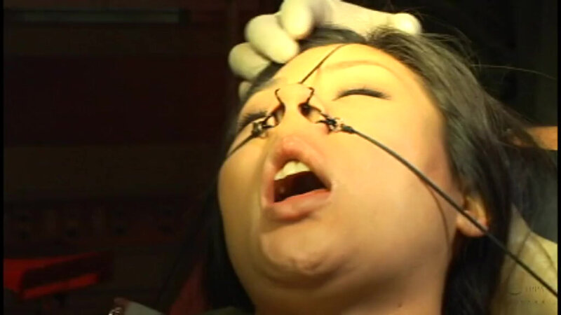 サンプル画像 10