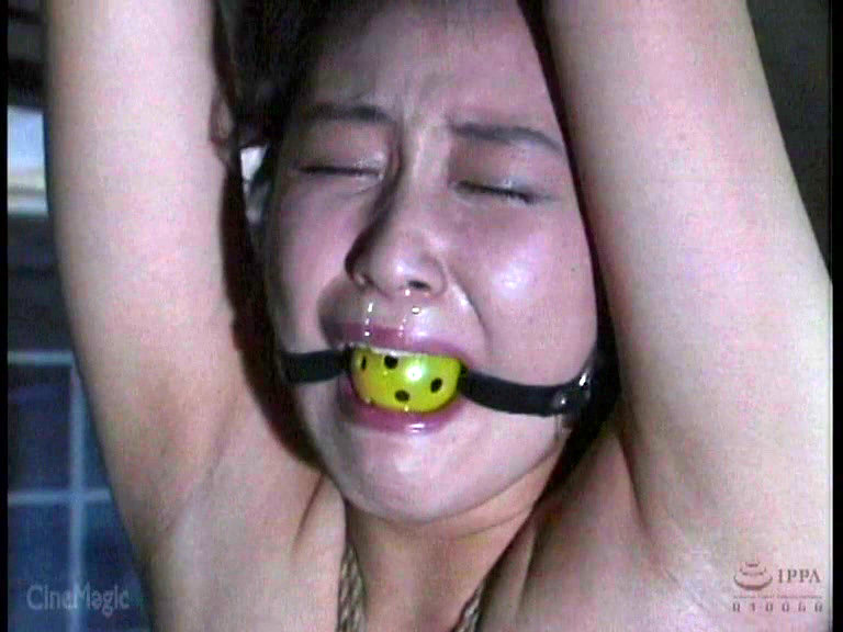 サンプル画像 14